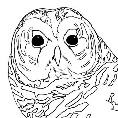 Coloring Pages 400x400 Coloring Pages