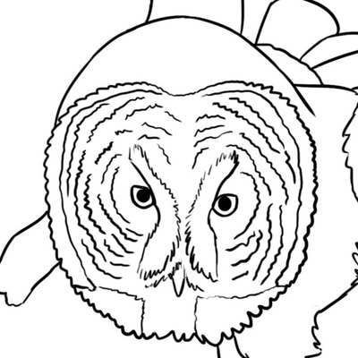 400x400 Coloring Pages
