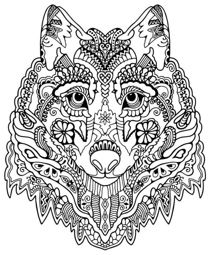 Intricate Coloring Pages Gianfreda 359327 736x896 Intricate Coloring Pages Gianfreda 359327