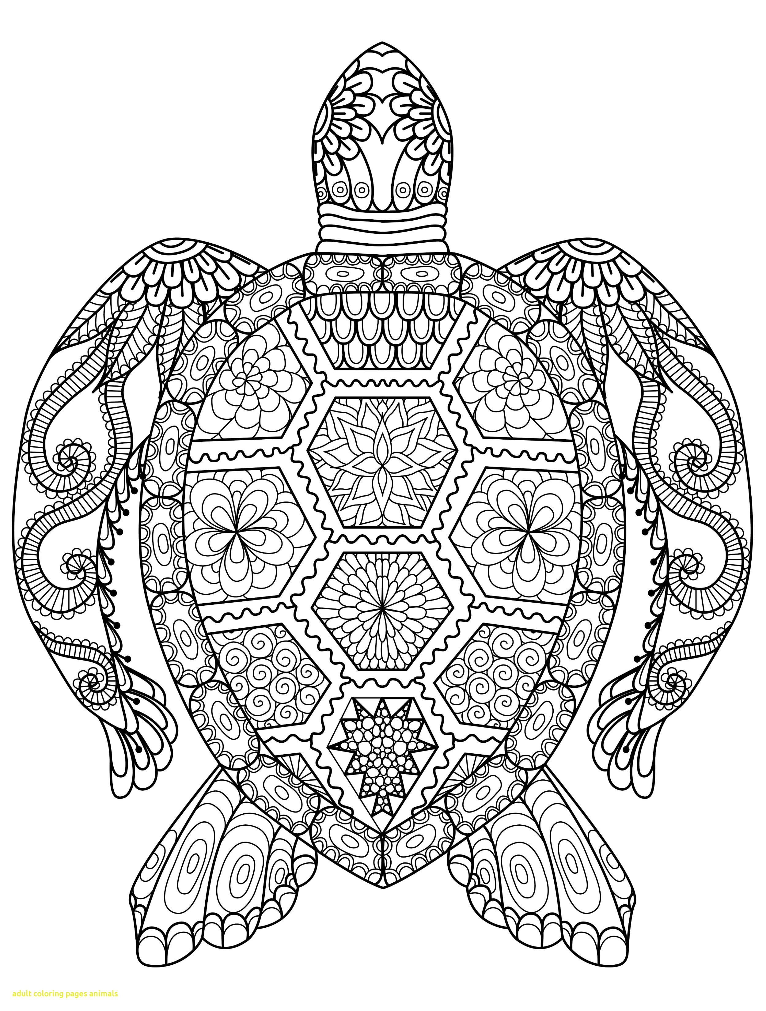 Animal Coloring Pages For Adults Adult Animals 2500x3300 Animal Coloring Pages For Adults Adult Animals