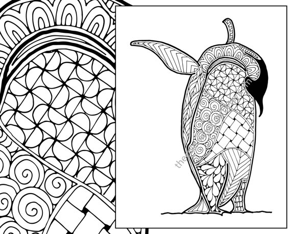 Penguin Coloring Sheet Animal Coloring Pdf Zentangle 570x457 Penguin Coloring Sheet Animal Coloring Pdf Zentangle