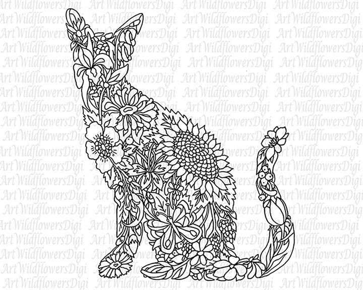 720x576 46 Best Coloring Pages Images On Coloring For Adults