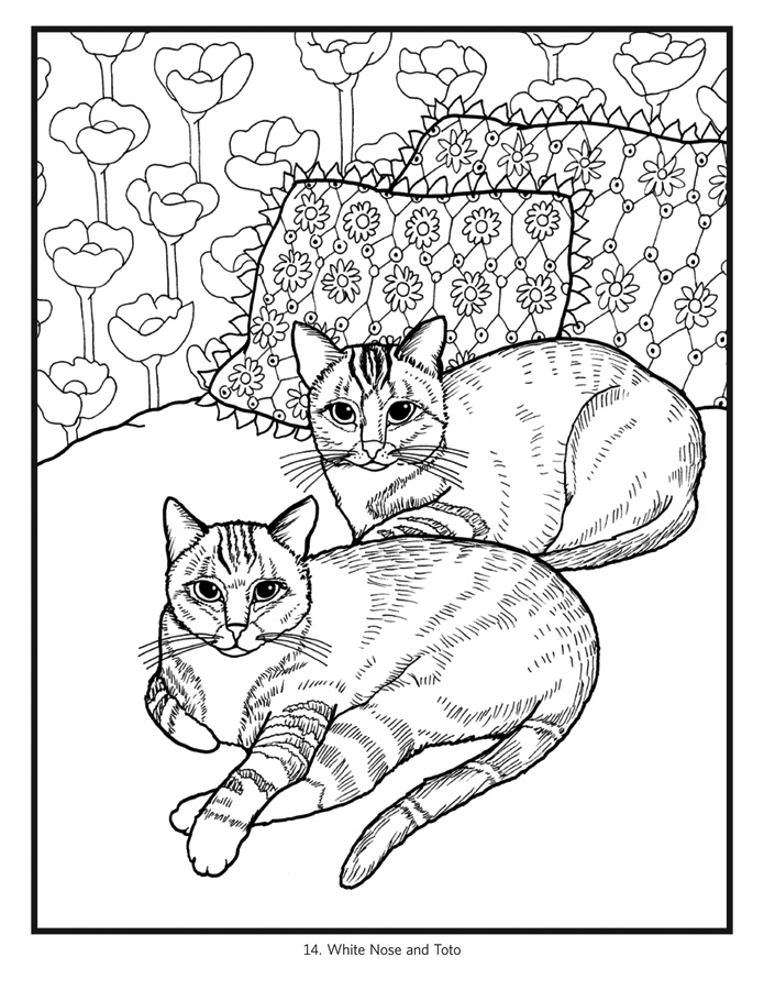 695x900 Intricate Cat Coloring Book Mimi Vang Olsen Cats 224 Coloring Page