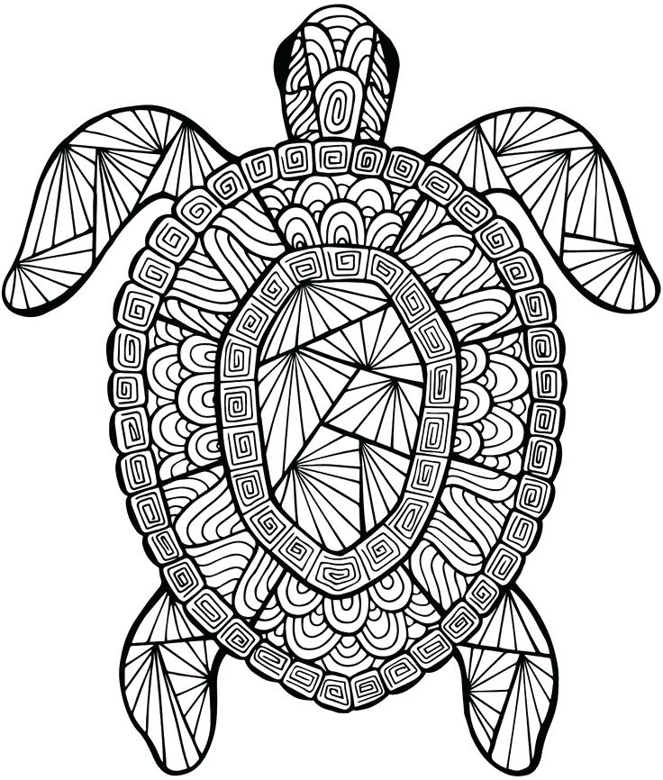 Intricate Coloring Pages Printable Revisited Detailed Coloring 736x866 Intricate Coloring Pages Printable Revisited Detailed Coloring