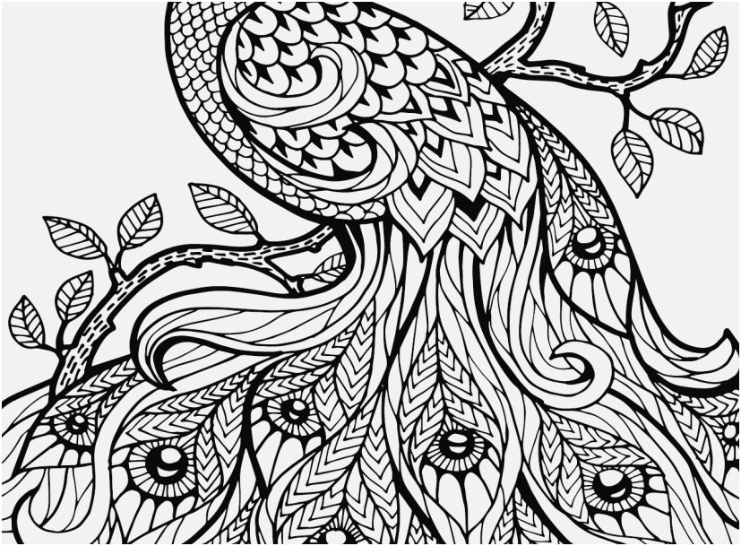 827x609 The Right Photographs Intricate Coloring Pages Phenomenal