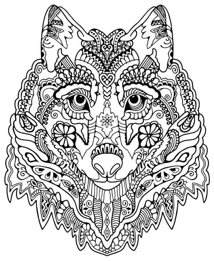 Intricate Design Coloring Pages Rosette Intricate Patterns 736x896 Intricate Design Coloring Pages Rosette Intricate Patterns