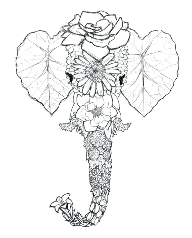 Adult Coloring Pages Elephant Medecine Du 772x960 Adult Coloring Pages Elephant Medecine Du