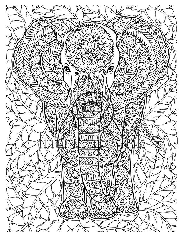 Elephant Coloring Page 638x825 Elephant Coloring Page