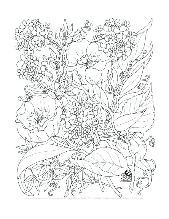 570x738 Intricate Flower Coloring Pages Dahlia Color One Of The Most