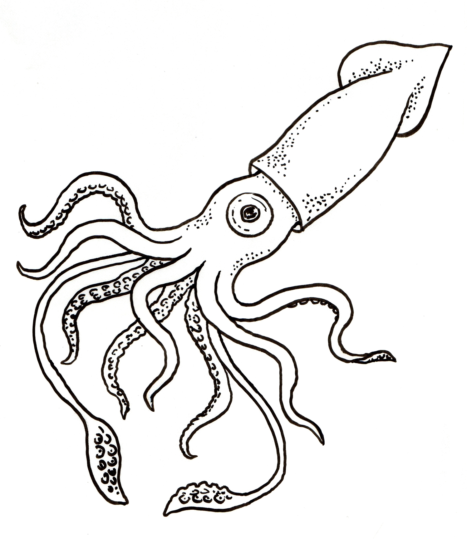 New Squid Page To Color Collection Printable Coloring Sheet 1496x1727 New Squid Page To Color Collection Printable Coloring Sheet