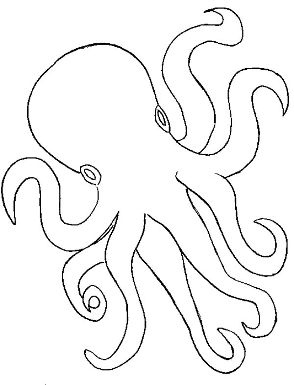 Octopus Outline Coloring Page Color Luna 600x784 Octopus Outline Coloring Page Color Luna