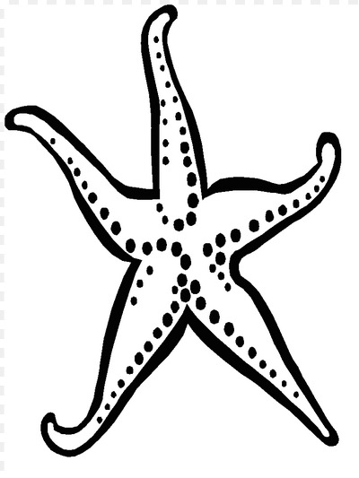 Starfish Coloring Page Amp Coloring Book 400x533 Starfish Coloring Page Amp Coloring Book