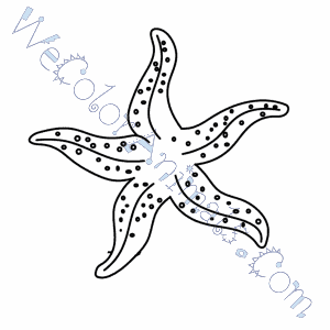 Starfish Coloring Pages 300x300 Starfish Coloring Pages