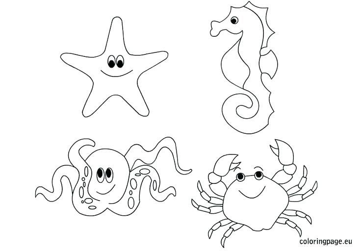 Sea Serpent Coloring Pages Impair.co 736x514 Sea Serpent Coloring Pages Impair.co