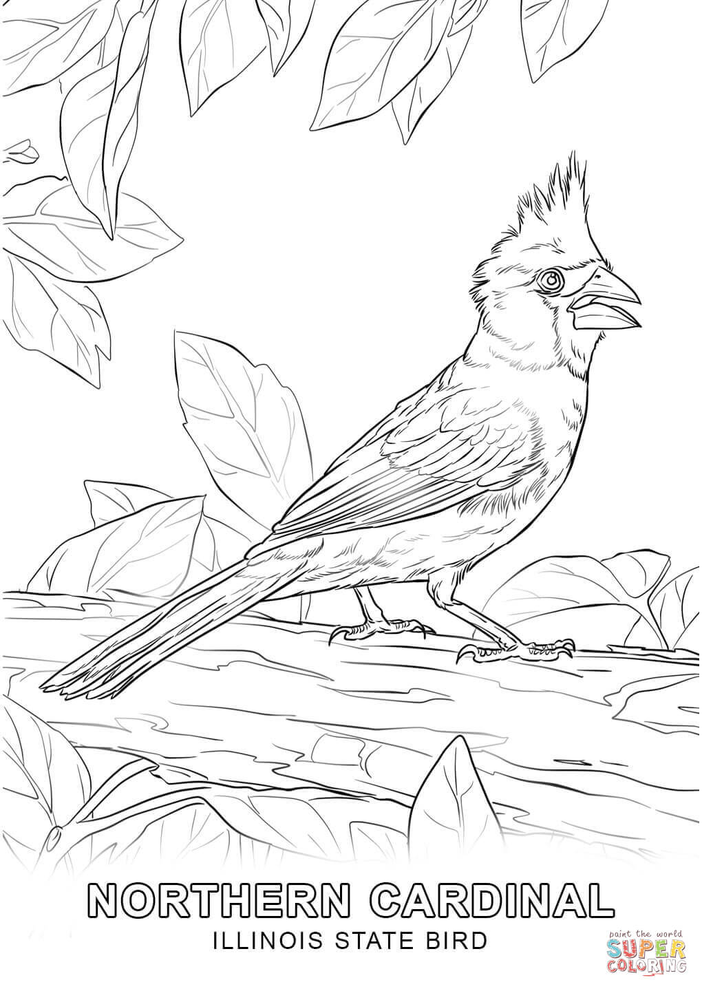 Helpful Iowa State Bird Coloring Page Illinois 1020x1440 Helpful Iowa State Bird Coloring Page Illinois