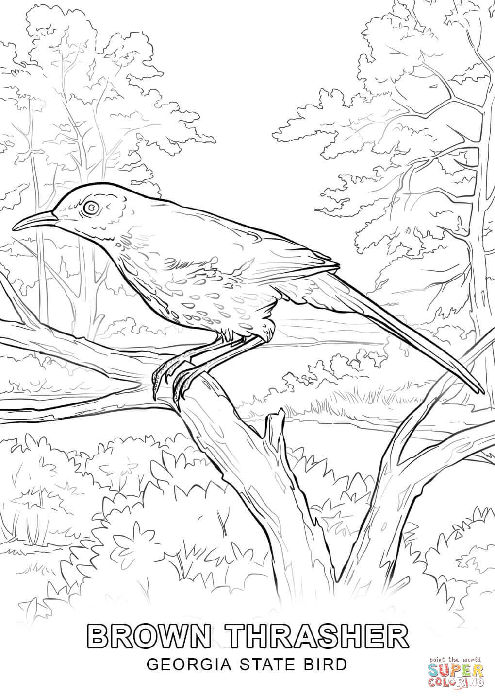 Proven Iowa State Bird Coloring Page Free Prin 1020x1440 Proven Iowa State Bird Coloring Page Free Prin