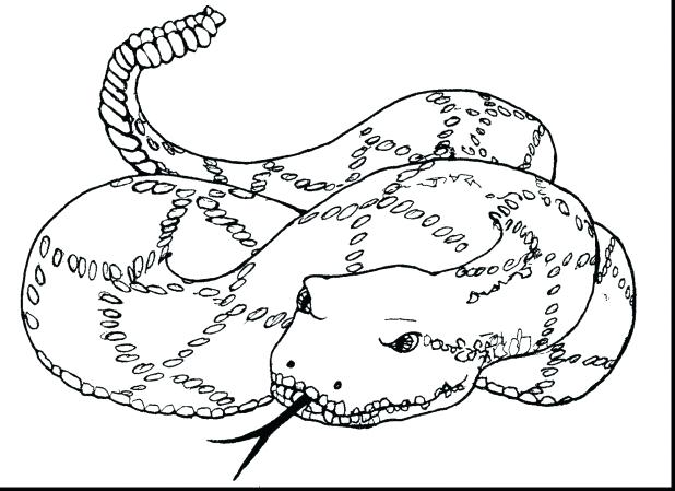Snake Eyes Coloring Pages Dogs With Big Eye Girl Easy Big 618x449 Snake Eyes Coloring Pages Dogs With Big Eye Girl Easy Big