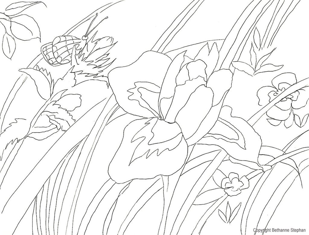 Coloring Pages Natural Artist 1024x782 Coloring Pages Natural Artist