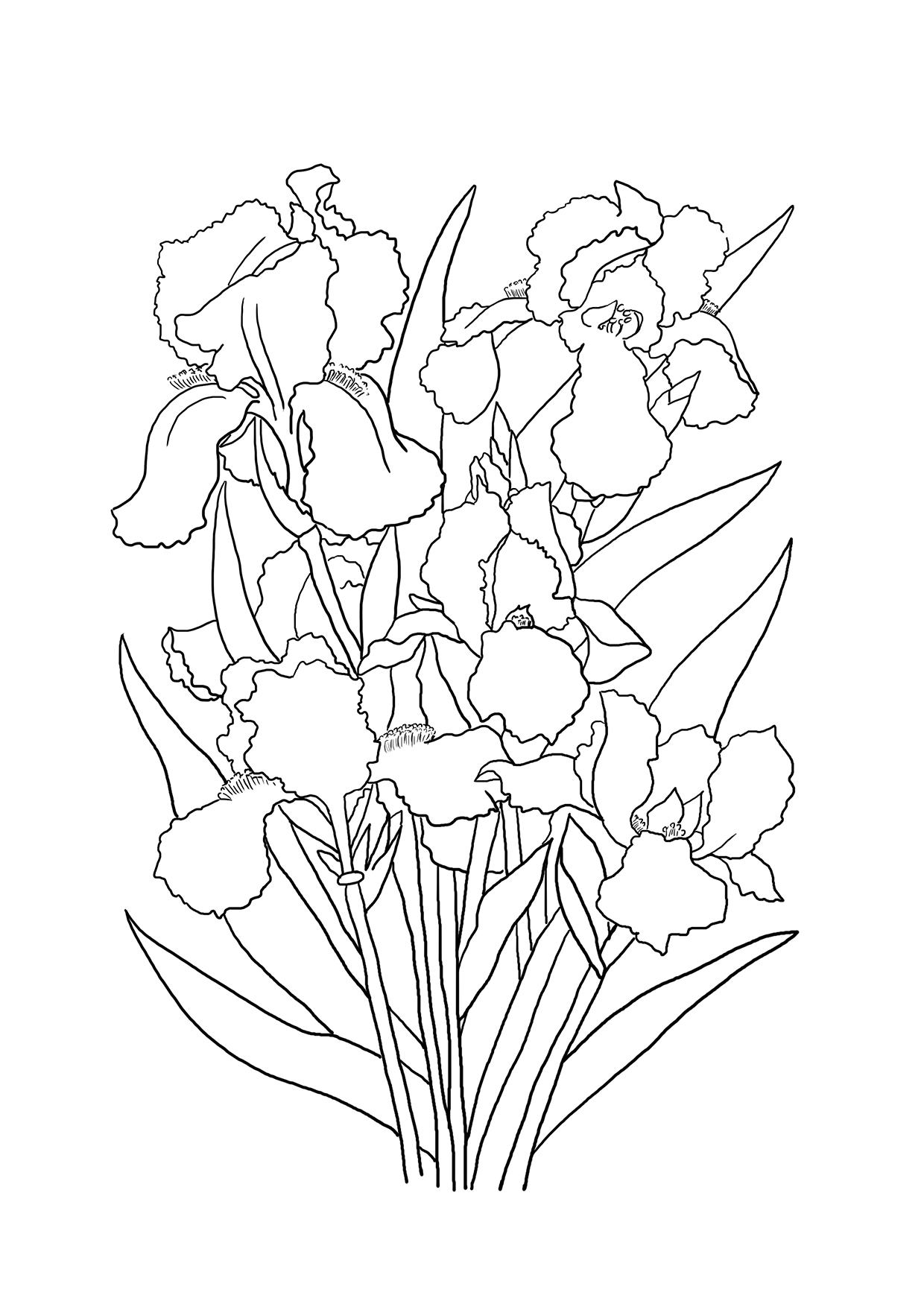 Flower Coloring Pages 1240x1754 Flower Coloring Pages