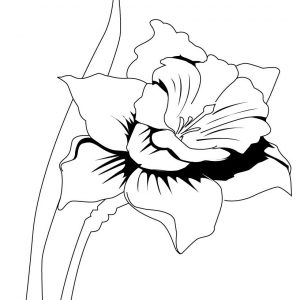 Pokemon Iris Coloring Pages Best Of Iris Flower Coloring Page Many 300x300 Pokemon Iris Coloring Pages Best Of Iris Flower Coloring Page Many