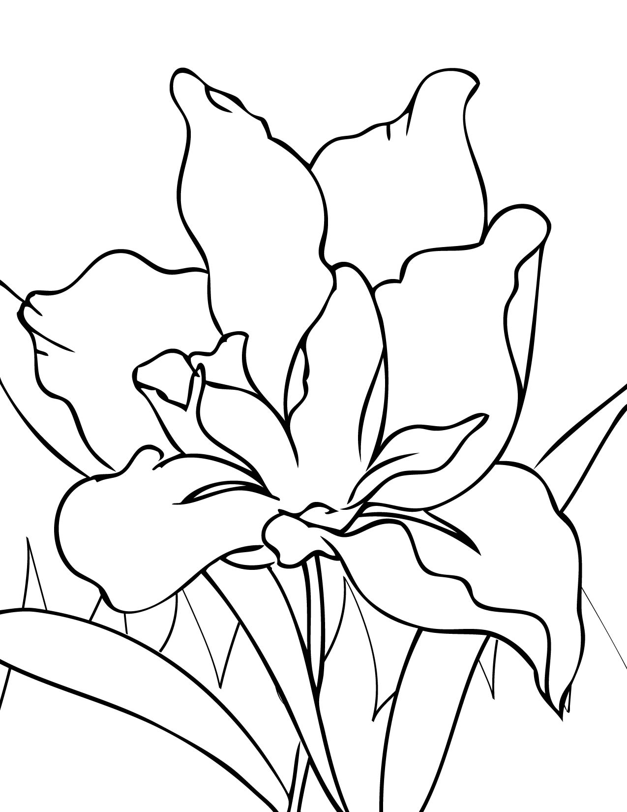 Surprise Iris Flower Coloring Page Handipoints 1275x1650 Surprise Iris Flower Coloring Page Handipoints