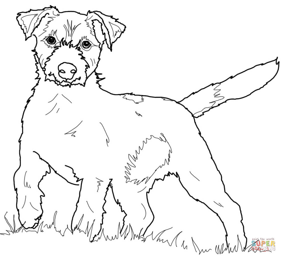 Jack Russell Coloring Pages 1125x1030 Jack Russell Coloring Pages