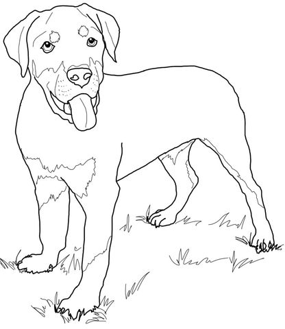 Rottweiler Puppy Coloring Page Dog Art Rottweiler 416x480 Rottweiler Puppy Coloring Page Dog Art Rottweiler