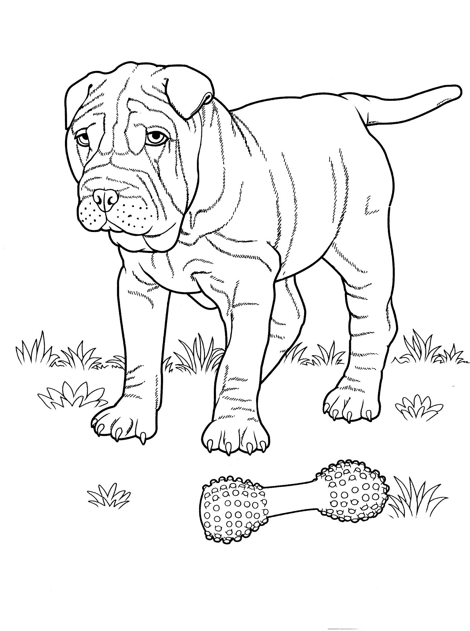 Dog Coloring Pages 2 Teenagers Coloring Pages Coloring Pages 1527x2048 Dog Coloring Pages 2 Teenagers Coloring Pages Coloring Pages