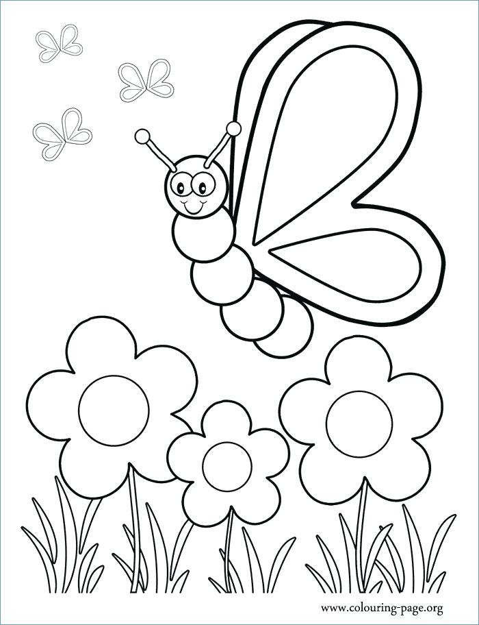 Cute Little Chick And Flower Spring Animal Coloring Pages Spring 700x912 Cute Little Chick And Flower Spring Animal Coloring Pages Spring