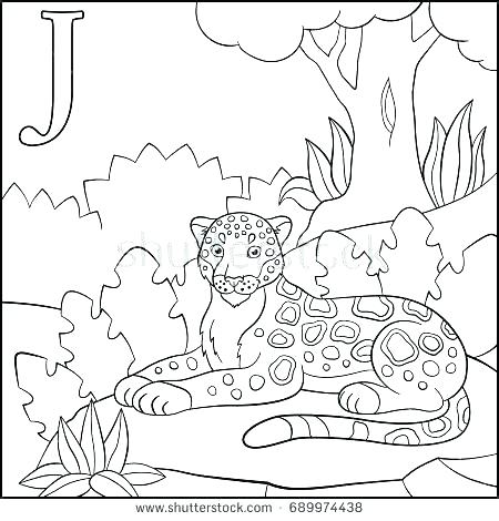 450x470 Jaguar Coloring Page Jaguar Coloring Pages J Coloring Pages