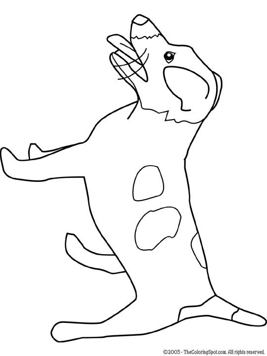 Jack Russell Terrier Audio Stories For Kids Amp Free Coloring 540x720 Jack Russell Terrier Audio Stories For Kids Amp Free Coloring