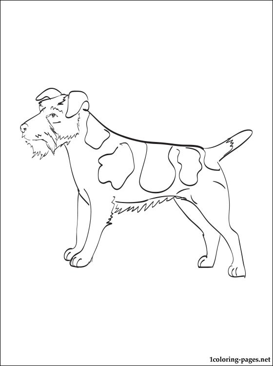 Jack Russell Terrier Coloring Page Coloring Pages 560x750 Jack Russell Terrier Coloring Page Coloring Pages