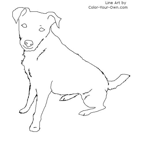 Sitting Jack Russell Terrier Dog Coloring Page 500x500 Sitting Jack Russell Terrier Dog Coloring Page