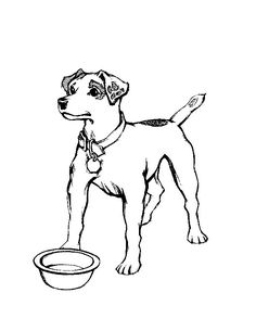 Welcome To Dover Publications Creative Haven Dogs Draw And Color 236x305 Welcome To Dover Publications Creative Haven Dogs Draw And Color