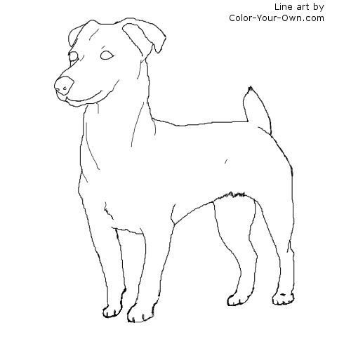 500x500 Standing Jack Russell Terrier Line Art Dog Patterns