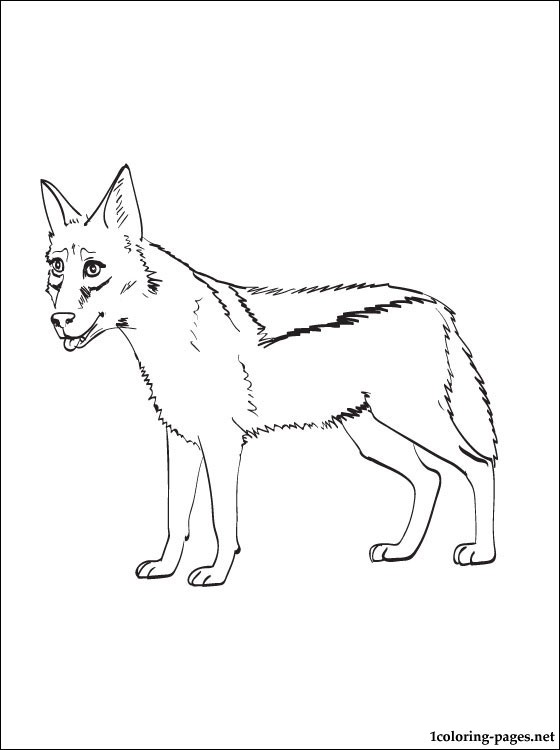 560x750 Jackal Printable And Coloring Page Coloring Pages