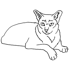 230x230 Top 10 Free Printable Jungle Animals Coloring Pages Online