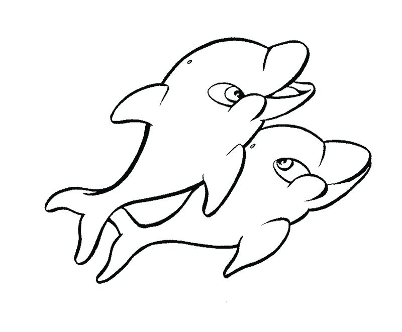 Dolphin Tale Coloring Pages Winter The Dolphin Coloring Pages 800x661 Dolphin Tale Coloring Pages Winter The Dolphin Coloring Pages