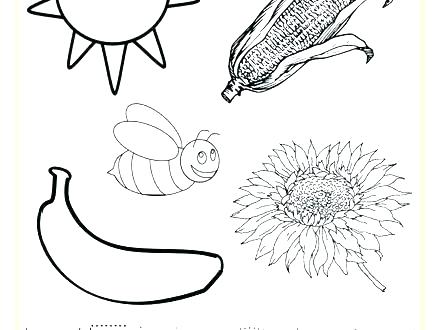 Yellow Coloring Page 440x330 Yellow Coloring Page
