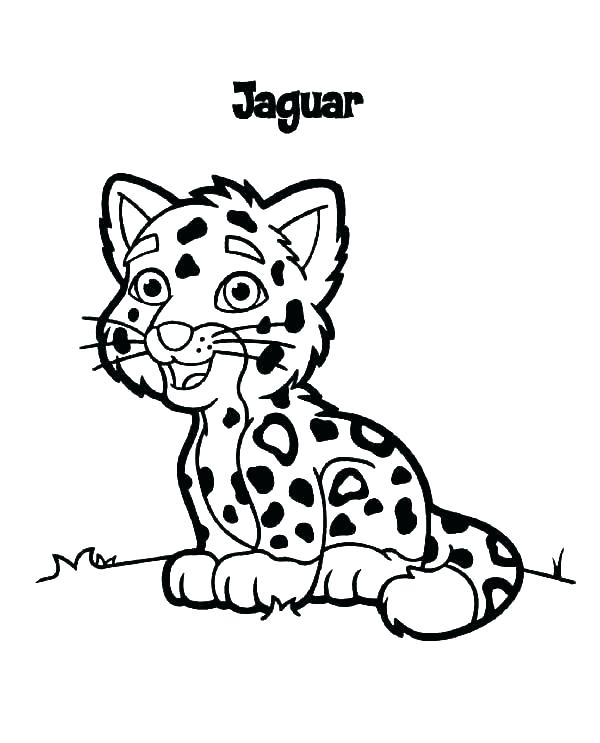 Jaguar Animal Coloring Pages at GetColorings.com | Free printable ...