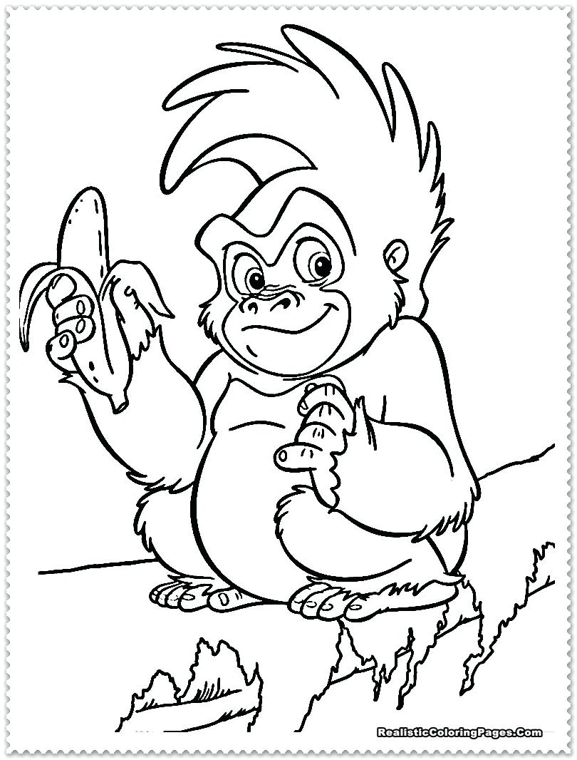 810x1066 Coloring Pages ~ Jungle Animal Coloring Pages Drawings Of Animals