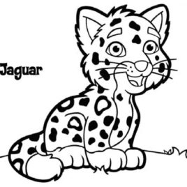 268x268 Coloring Pages Jaguar Animal Archives