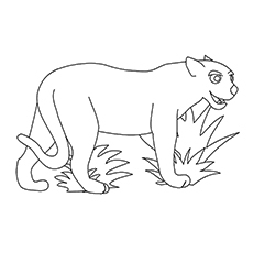 10 Best Free Printable Jaguar Coloring Pages Online 230x230 10 Best Free Printable Jaguar Coloring Pages Online