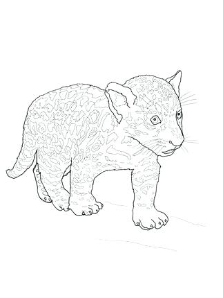 Jaguar Coloring Page Click To See Printable Version Of Baby Jaguar 323x430 Jaguar Coloring Page Click To See Printable Version Of Baby Jaguar