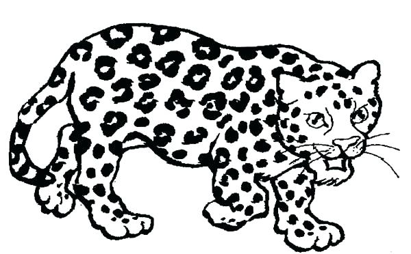 Jaguar Coloring Pages at GetColorings.com | Free printable colorings ...