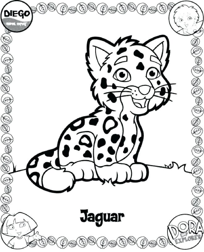 Jaguar Coloring Pages Jaguar Coloring Page Large Size Of Jaguar 660x817 Jaguar Coloring Pages Jaguar Coloring Page Large Size Of Jaguar