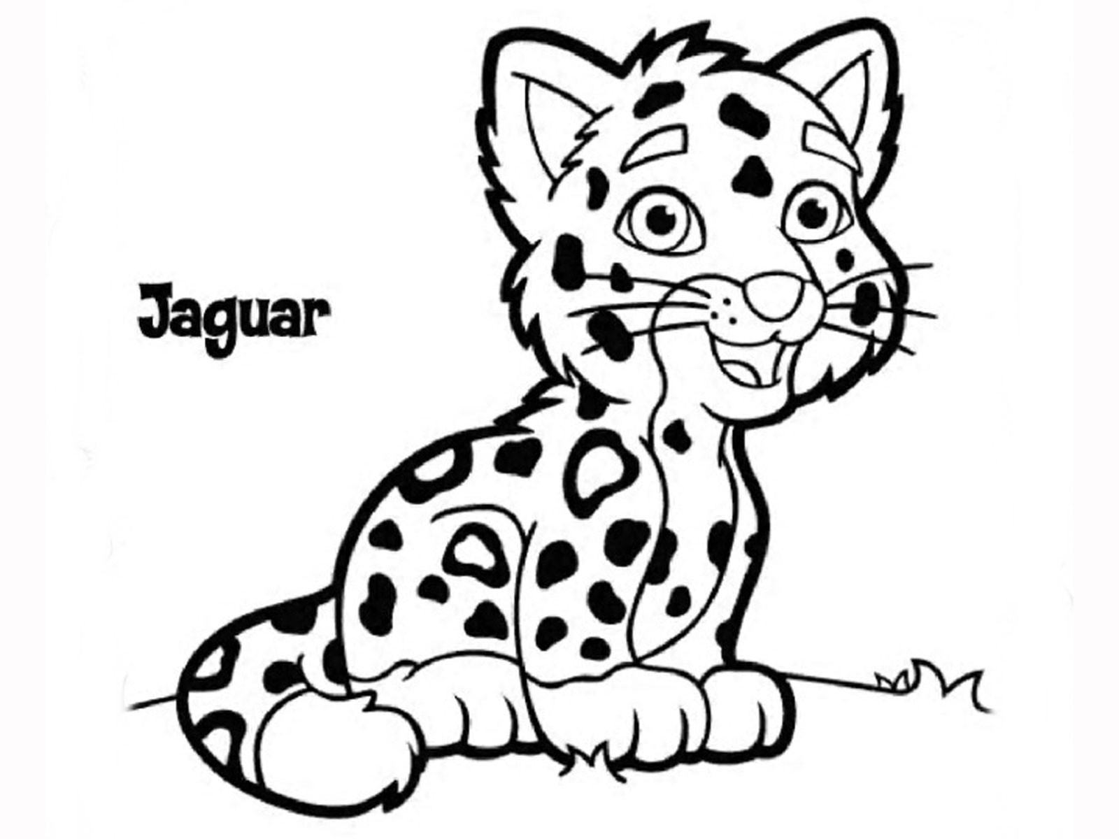 Ba Jaguar Coloring Pages Rainforest Best Of Page Arilitv Baby 1600x1200 Ba Jaguar Coloring Pages Rainforest Best Of Page Arilitv Baby