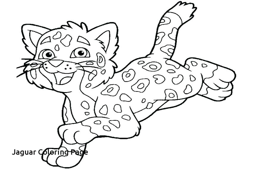 Coloring Pages Baby Jaguar Coloring Page Jaguar Coloring Pages 850x567 Coloring Pages Baby Jaguar Coloring Page Jaguar Coloring Pages