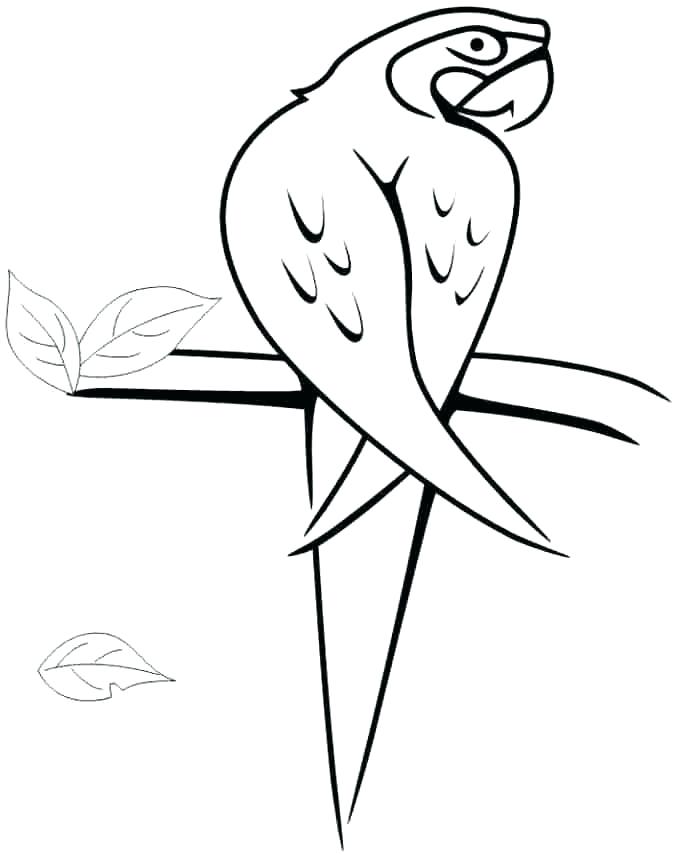 675x855 Flag Coloring Page Coloring Page Flag Flag Coloring Flag Coloring