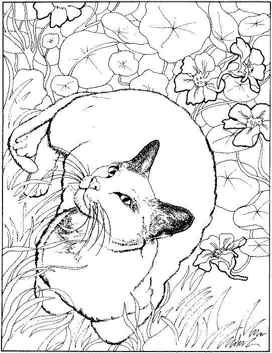 January Coloring Pages 542x704 January Coloring Pages
